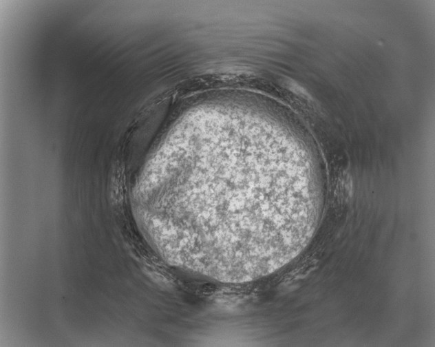 X0000071961014200608041613