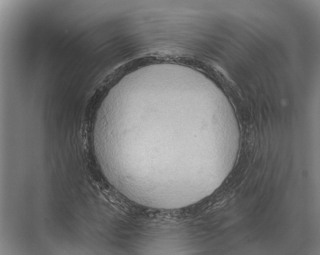 X0000071961016200608041613