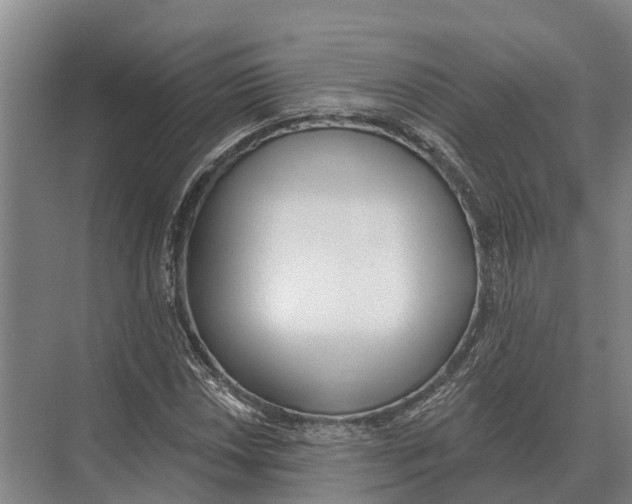 X0000071961018200608041613