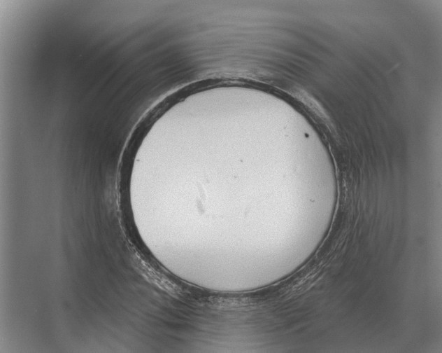 X0000071961020200608041613