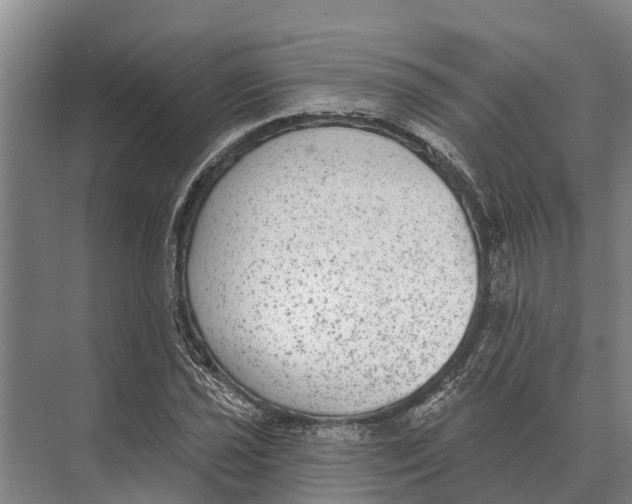 X0000071961021200608041614