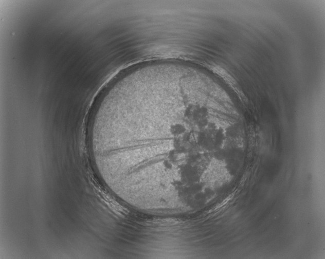 X0000071961023200608041614