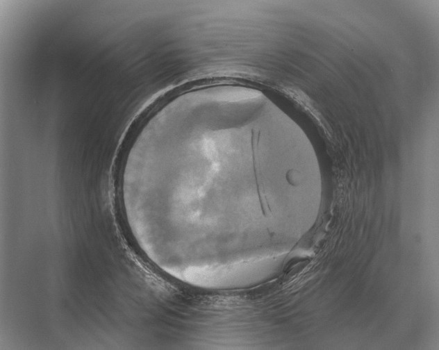 X0000071961024200608041614