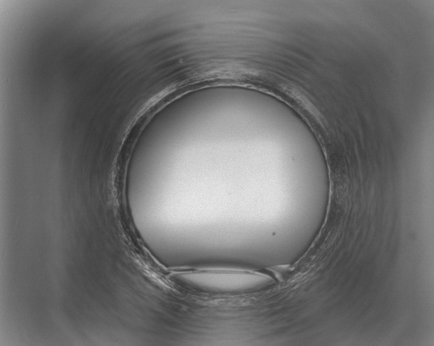 X0000071961026200608041614