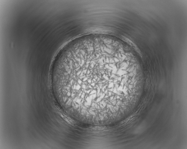 X0000071961027200608041614