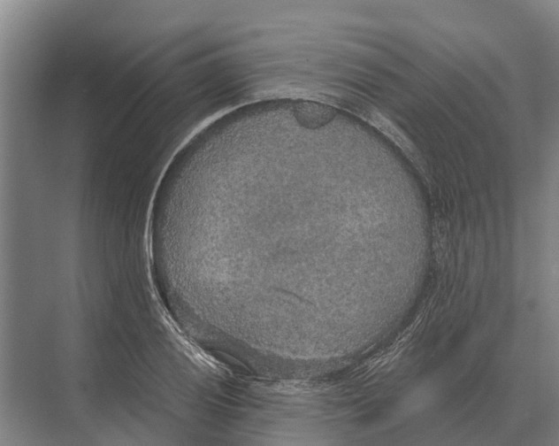 X0000071961028200608041614