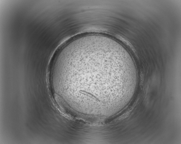 X0000071961029200608041614