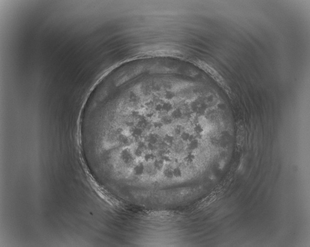 X0000071961031200608041614