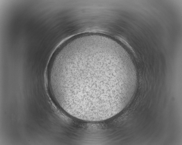 X0000071961032200608041614