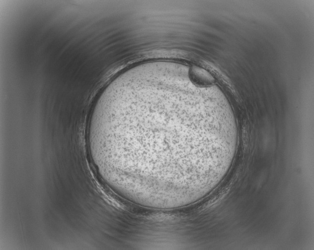 X0000071961033200608041614