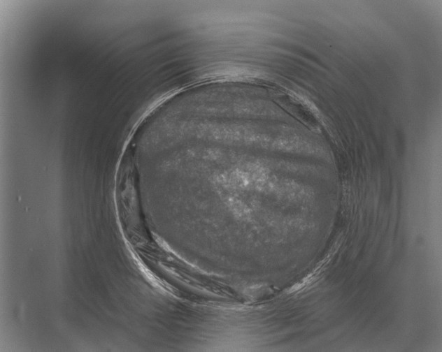 X0000071961034200608041614