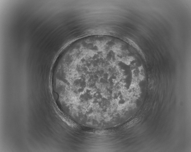 X0000071961035200608041614