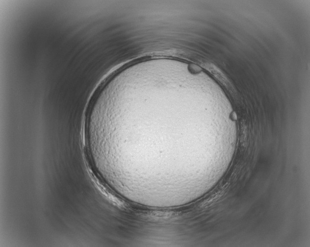 X0000071961036200608041614