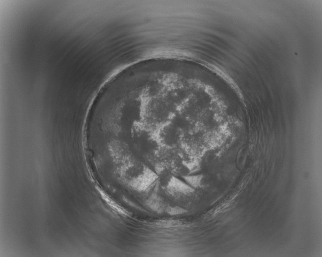 X0000071961037200608041614