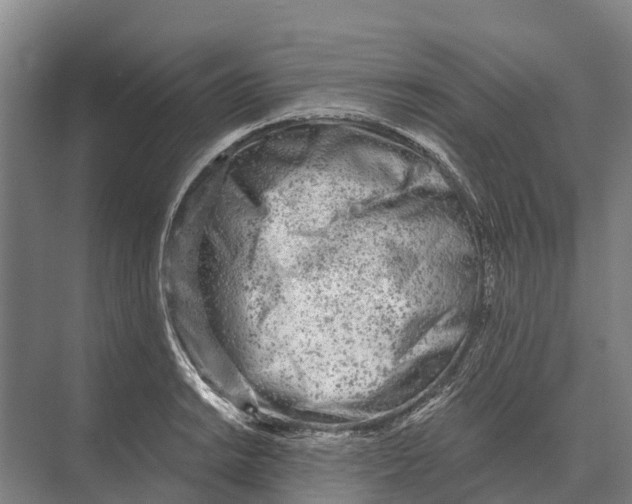 X0000071961038200608041614