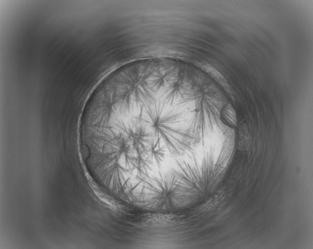 X0000071961039200608041614