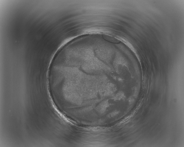 X0000071961045200608041614