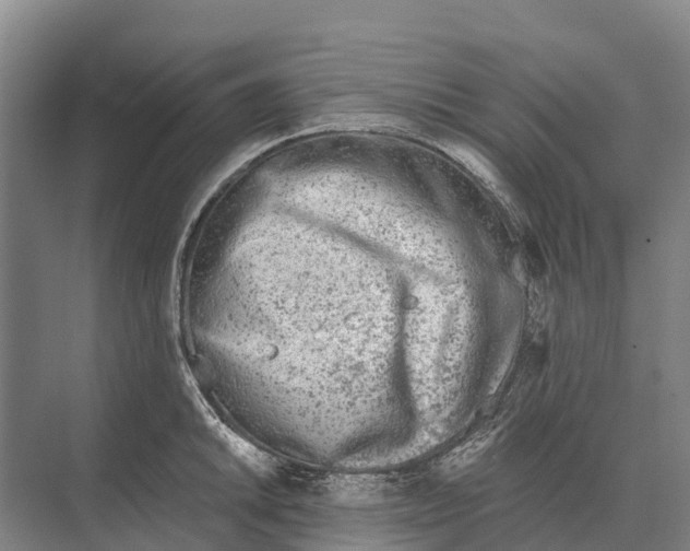 X0000071961046200608041614