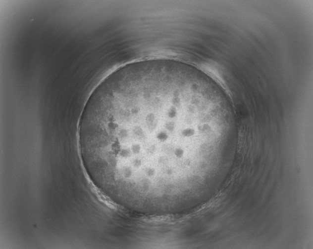 X0000071961047200608041614