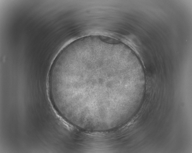 X0000071961048200608041614