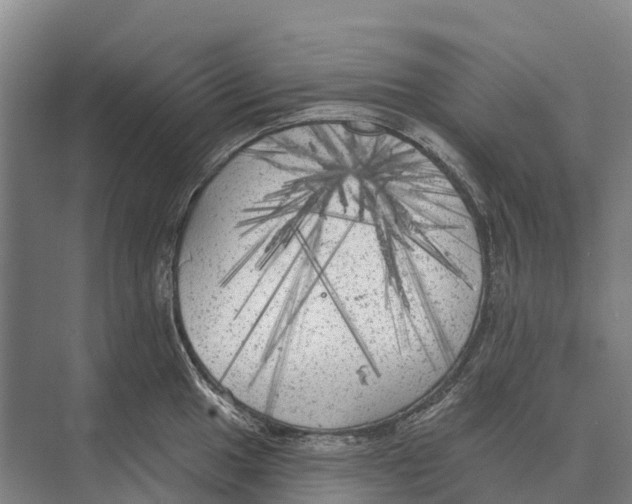 X0000071961049200608041614