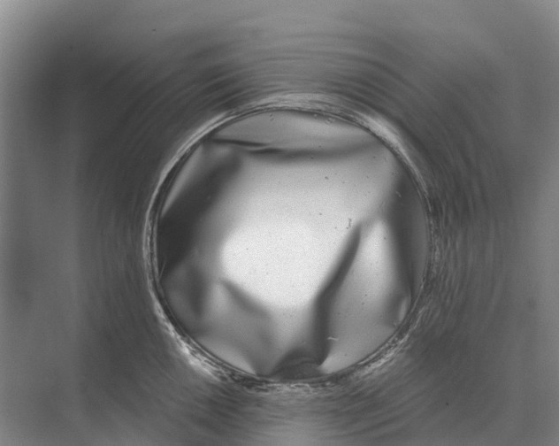 X0000071961050200608041614