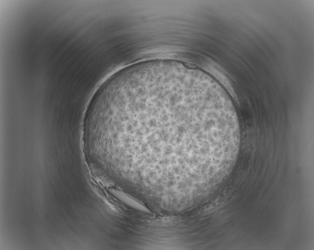 X0000071961051200608041614