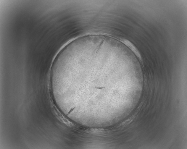 X0000071961052200608041614