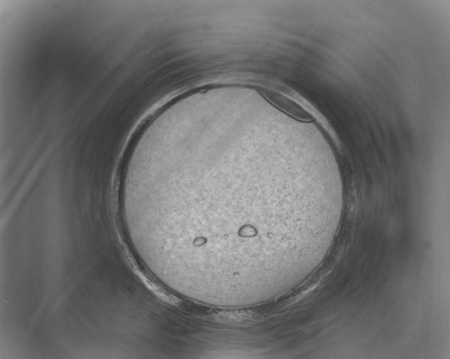 X0000071961053200608041614