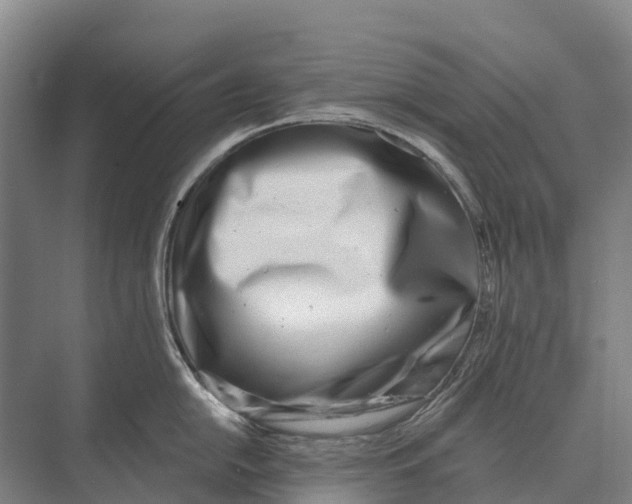 X0000071961054200608041614