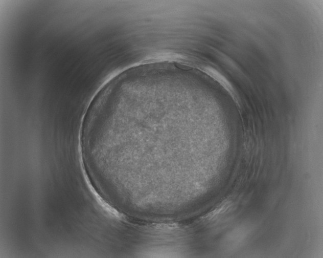 X0000071961055200608041614