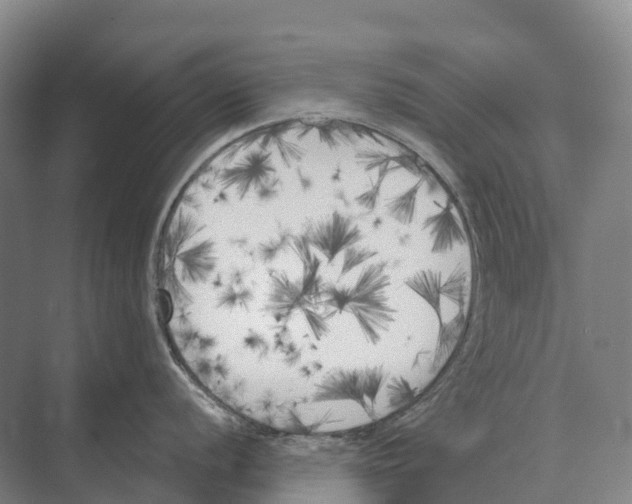 X0000071961056200608041614