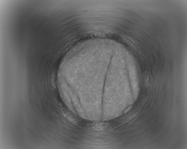 X0000071961060200608041613