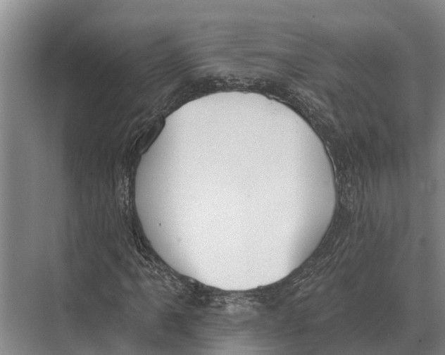 X0000071961061200608041613