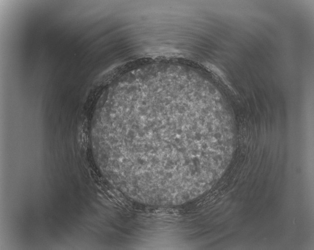 X0000071961063200608041613