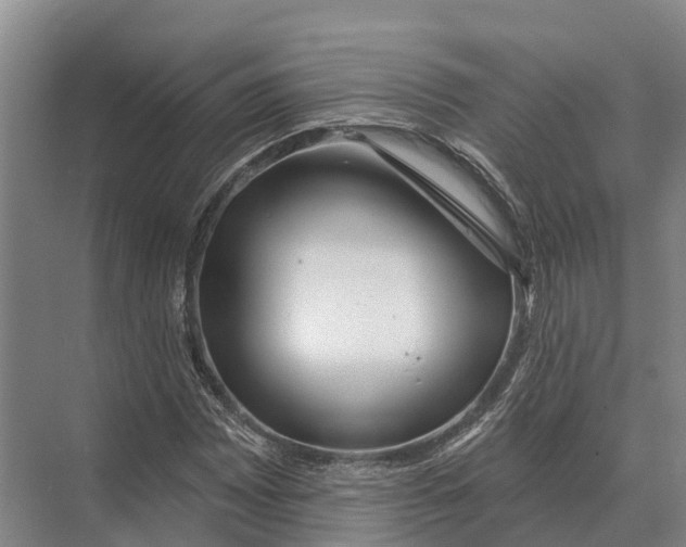 X0000071961065200608041613