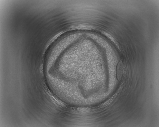 X0000071961066200608041613