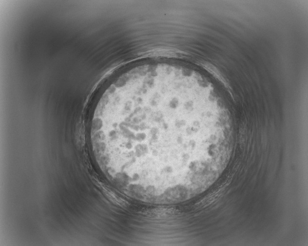 X0000071961067200608041613