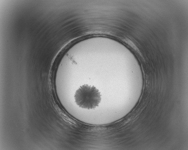 X0000071961068200608041613