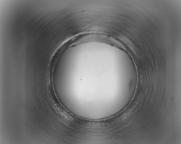 X0000071961069200608041613