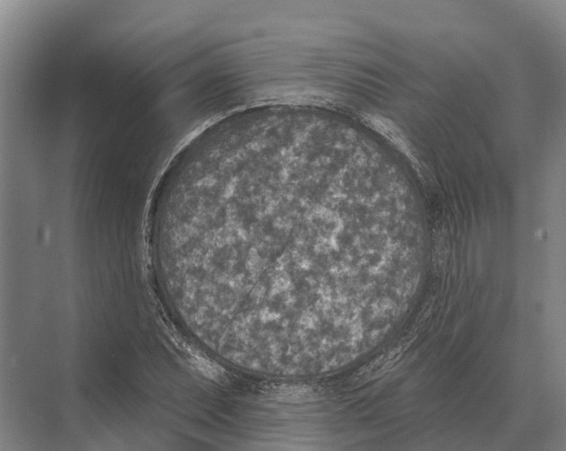 X0000071961071200608041613