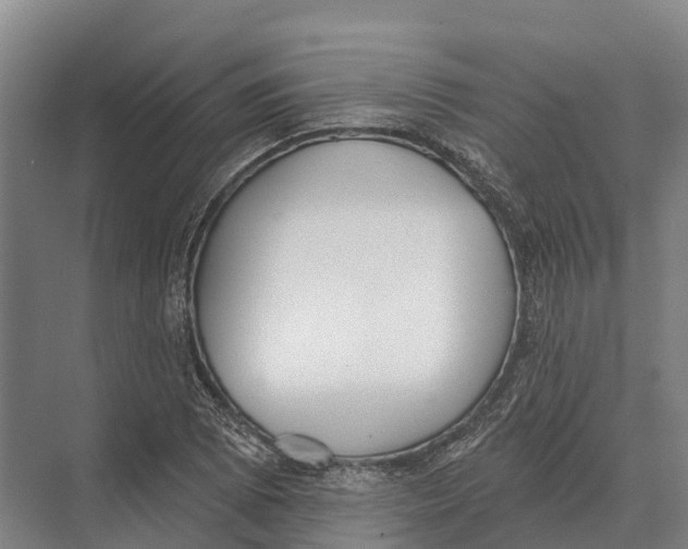 X0000071961073200608041613