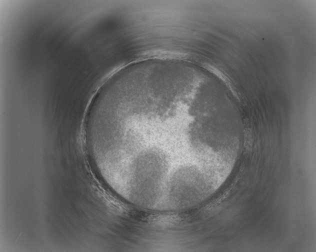 X0000071961074200608041613