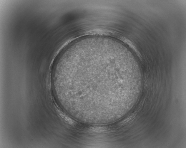 X0000071961075200608041613