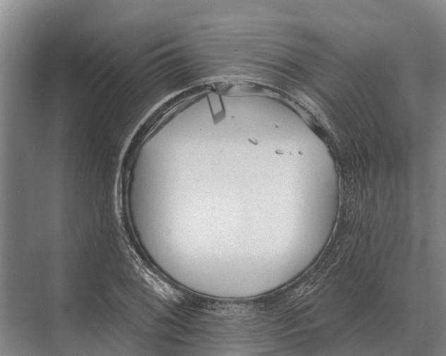 X0000071961076200608041613