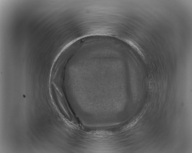 X0000071961077200608041613