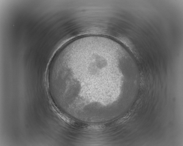 X0000071961078200608041613