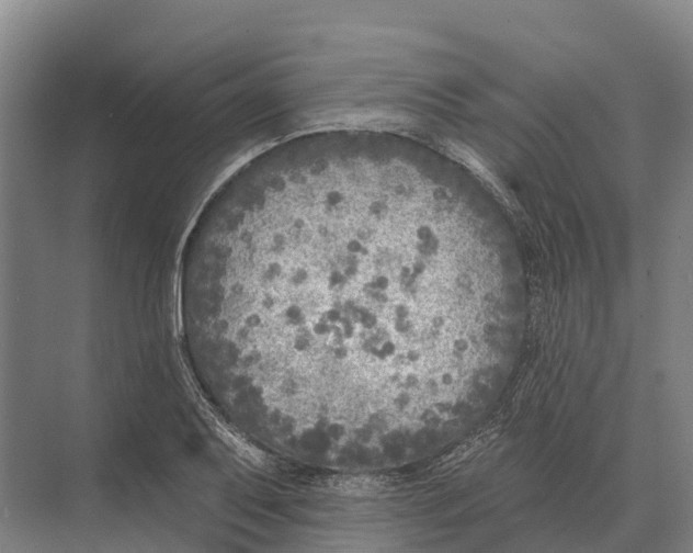 X0000071961079200608041613