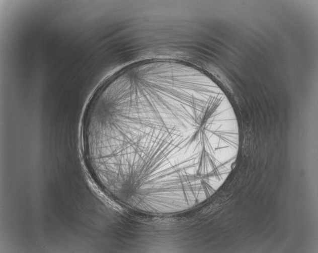 X0000071961080200608041613