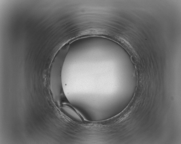 X0000071961081200608041613